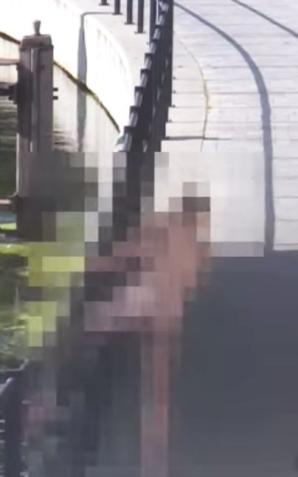 Chciał popływać, lecz nie zabrał kąpielówek (wideo)